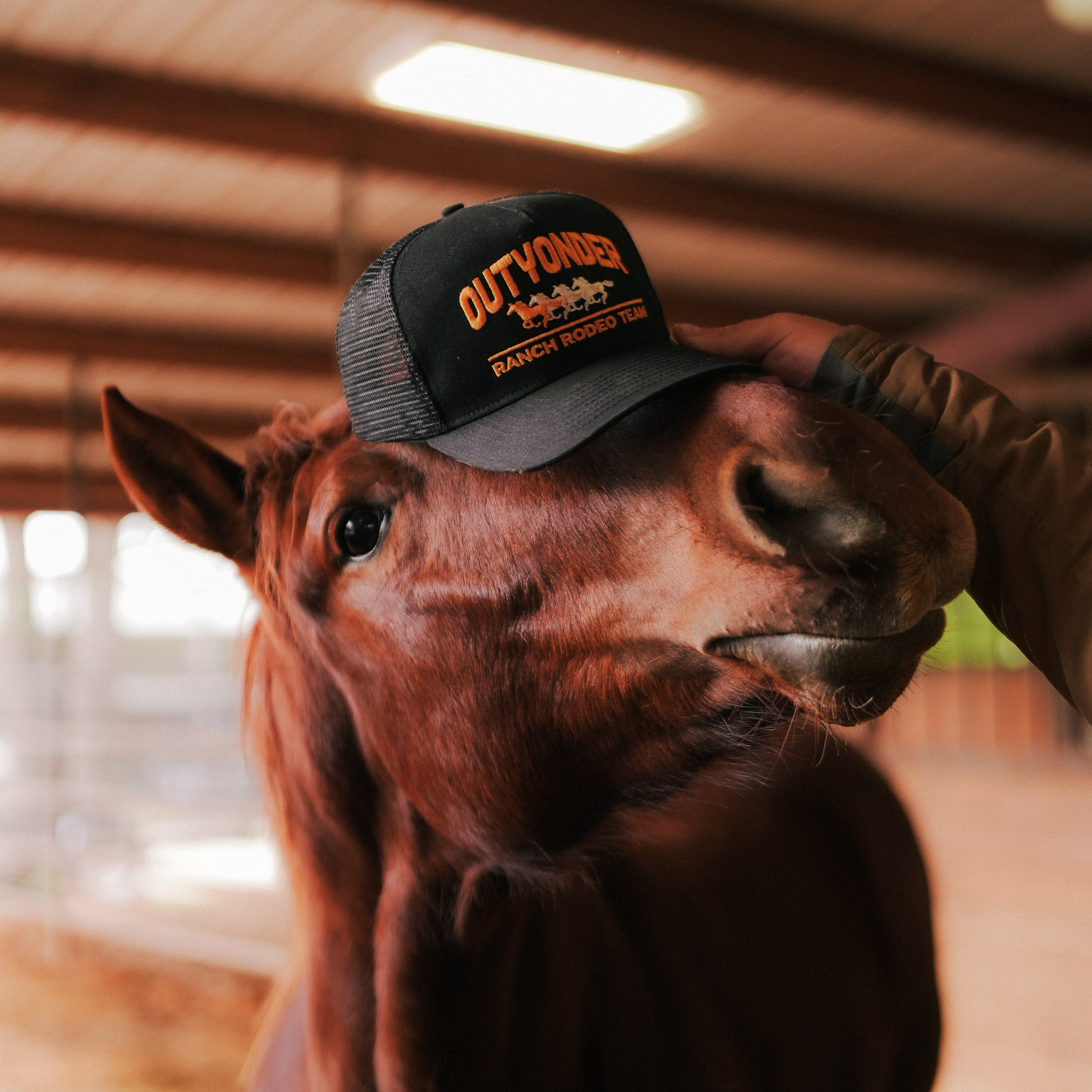 Rodeo Ranch Hat purchases