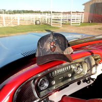 The Buck